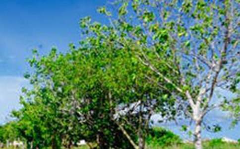 �������L(f��ng)������[��(y��u)]