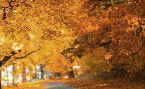 �L(f��ng)����·������(���x)