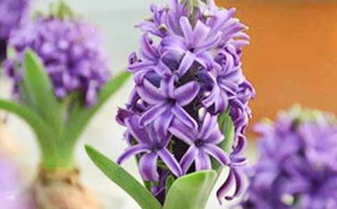 ��ͬ�ɫ�L(f��ng)���ӻ��Z(y��)��B������f(shu��)-�r���Y�x