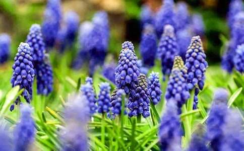 �L(f��ng)���ӻ��Z����