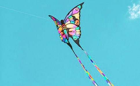 放風箏_隨筆作文