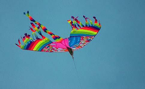 ���L(f��ng)�~С�W(xu��)���ľ��x15ƪ