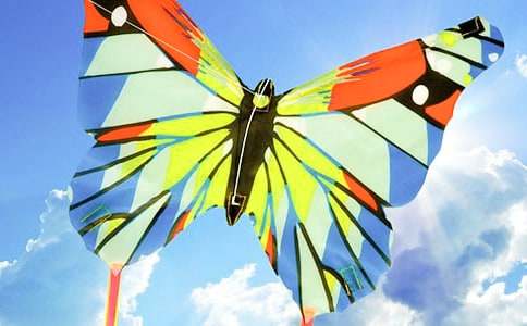 追風(fēng)箏人讀后感,追風(fēng)箏人讀后感