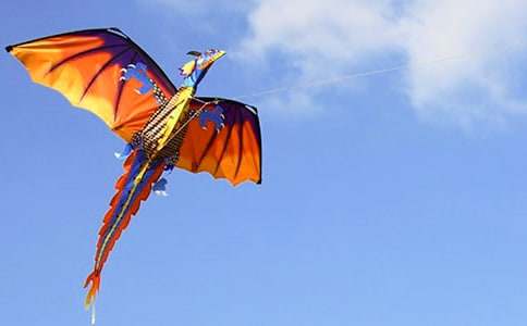 放風(fēng)箏小學(xué)三年級(jí)作文