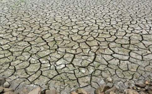 防治荒漠化和干旱日國旗下講話稿