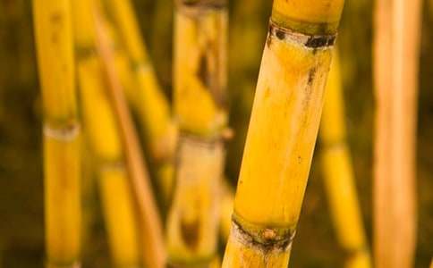 ��������ġ��R��15ƪ��