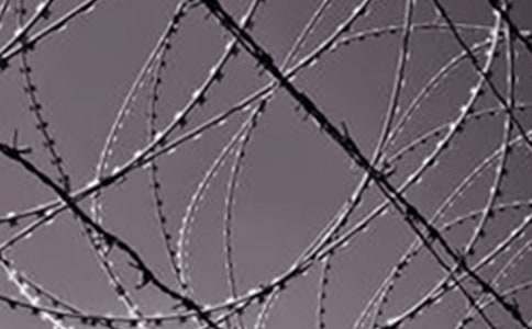 ��F��I(y��)����(b��o)��13ƪ