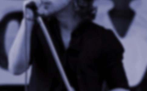 鳥兒是大自然的歌手小練筆作文-鳥作文