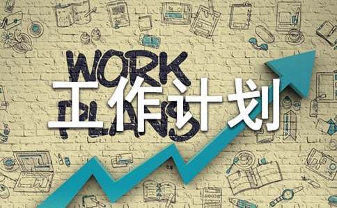 【精華】總結工作計劃匯總8篇