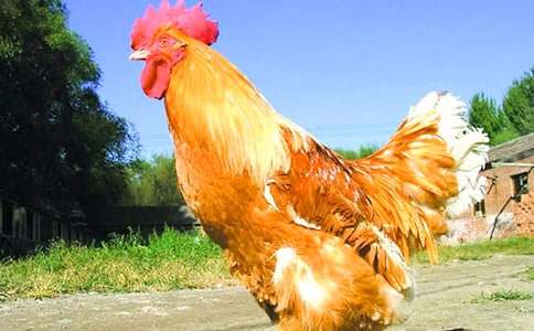 ���u���ġ���(y��u)�x15ƪ��