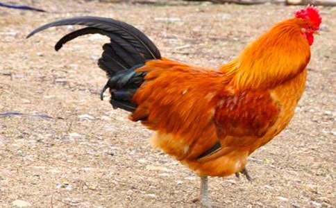 ���u����[��(y��u)]