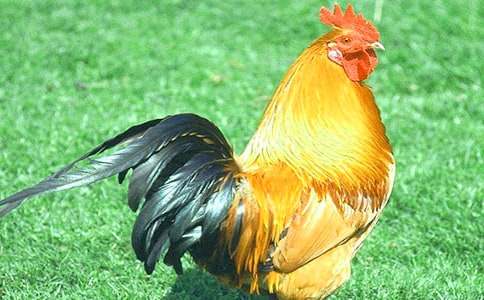 �������Ĺ��u���̰�[�R��15ƪ]