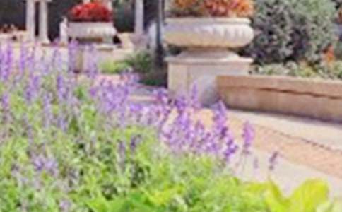 西湖公園的導(dǎo)游詞