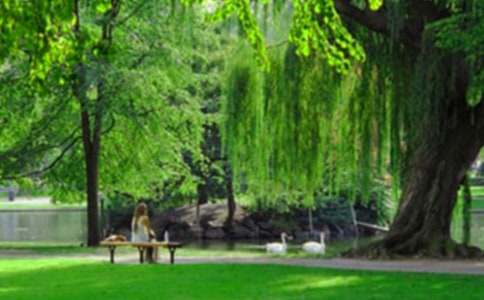 黔靈公園導(dǎo)游詞