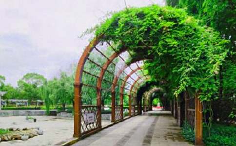 ���ڞ����@��(d��o)���~