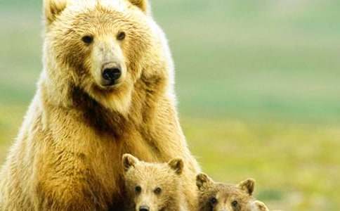 ����Z�ԡ���ֻ�����ܡ��̰�