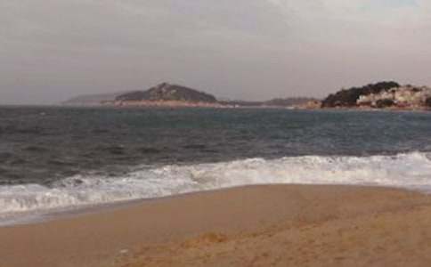 鼓浪嶼導(dǎo)游詞集錦15篇