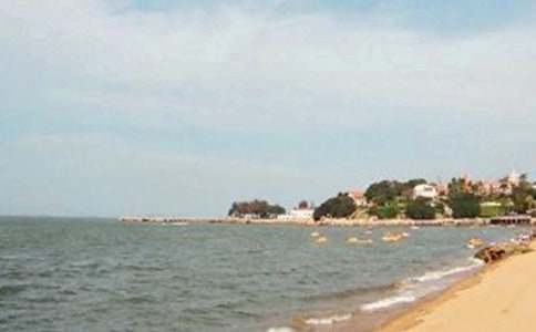 廈門鼓浪嶼導(dǎo)游詞8篇