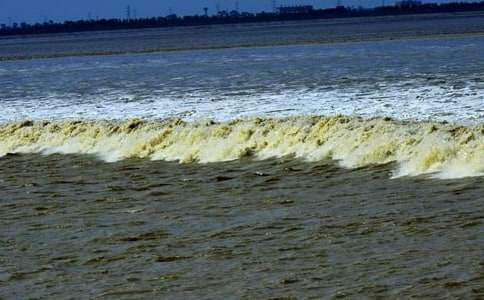 �^����(d��o)���~12ƪ