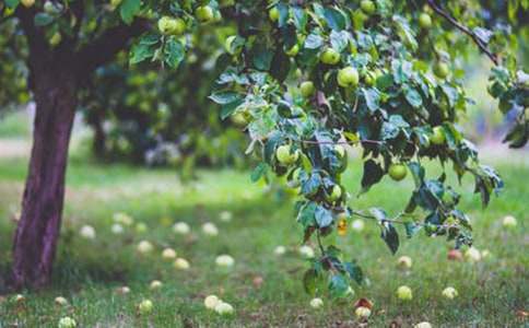 ���@�����f(xi��)�h��5ƪ