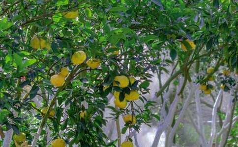 ���@�����D(zhu��n)׌��ͬ����