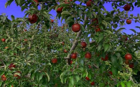 ���ع��@�D(zhu��n)׌��ͬ����