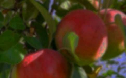 ��(g��)�˹��@�а���ͬ7ƪ����(y��u)�㡿