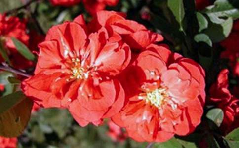 [���A]���~(y��)�����^���