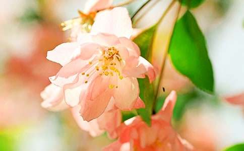 ���Ļ��Ļ��Z��ȫ