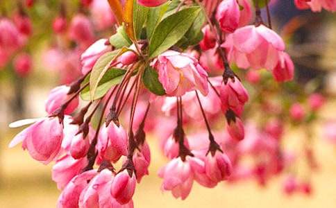 �����~���ġ��^��о��x15ƪ