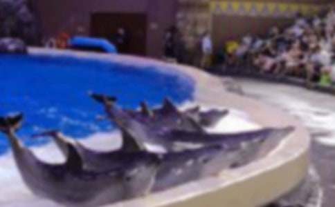 ���{(l��n)ɫ�ĺ����u���x���(ͨ��15ƪ)