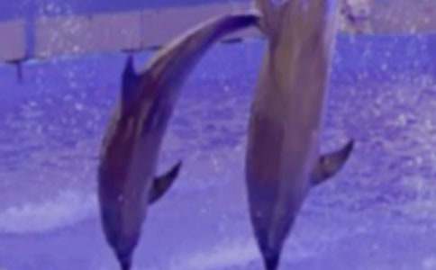 ���غ����u�x���