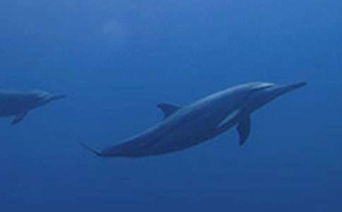 [ͨ��]���{(l��n)ɫ�ĺ����u���x���