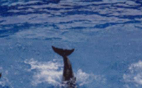 ���{(l��n)ɫ�ĺ����u���x��У�ͨ��26ƪ��