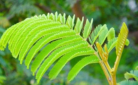 �����x�����߲�С�W������ƪ