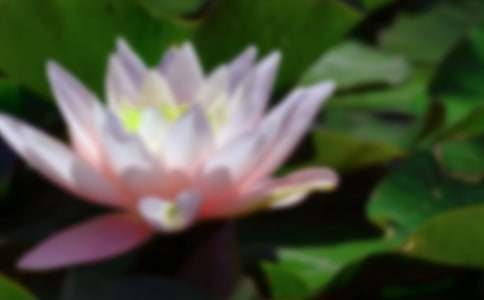 ���x�ɻ��̰�ģ�弯�\5ƪ