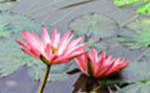 ���P(gu��n)�ɻ��̰��R��10ƪ