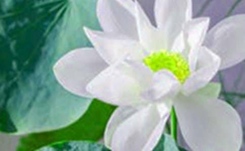 �P(gu��n)�ںɻ��̰����ļ��\��ƪ