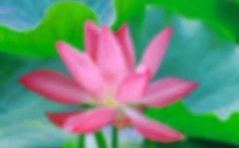 �ɻ��̰������\����ƪ