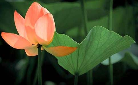 �P(gu��n)�ںɻ��̰����ļ�����ƪ