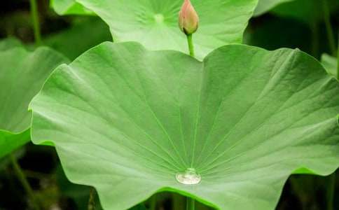 ĸ�H���~�̰�15ƪ