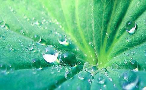 ����(j��ng)�䣩�����~�A�A���̰�18ƪ