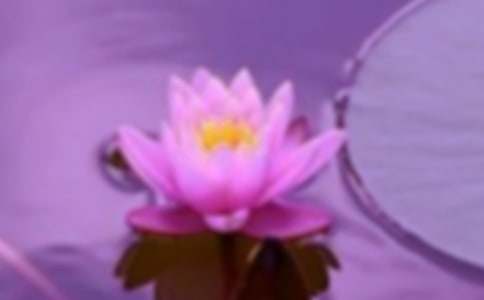 ��(chu��ng)�����CС�^(q��)���h��(sh��)