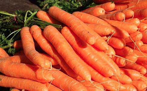 ���}���������L(zh��ng)���ӹ����m(x��)��(xi��)���ľ�Ʒ��19ƪ��