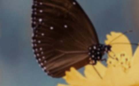 �����һ��̰��ϼ�15ƪ