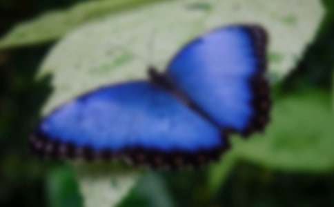 ���_(t��i)���ĺ����ȡ��̰�7ƪ