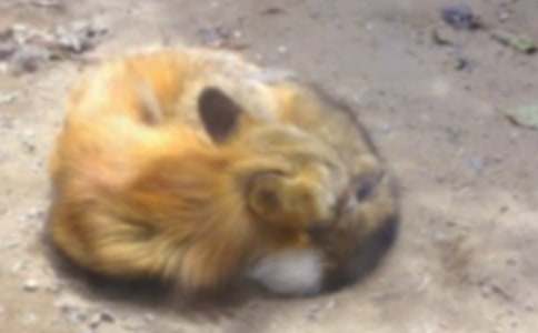 �а��Z�Ժ�؂�N�˽̰�7ƪ