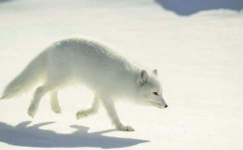 ���ٱ���؂�_һ�Ρ��x���(��(y��u)�x)