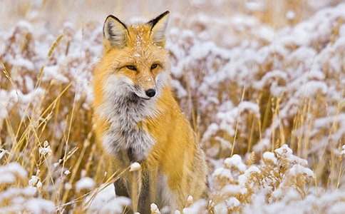 С��؂�ĕ����x���