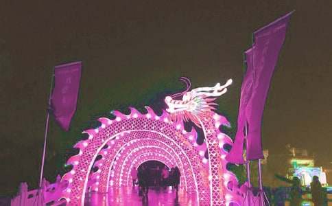 觀花燈作文(必備15篇)